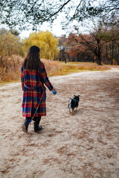 Köpeğiyle mutlu genç bir kadın. Ev hayvanları. Genç kadın parkta yürürken sevimli köpeğini tutuyor ve ona sarılıyor. Açık havada portre. - Fotoğraf, Görsel