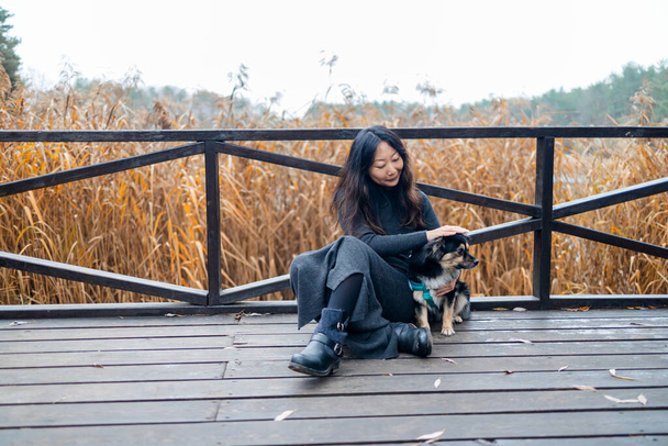 Bernese Mountain Dog cucciolo con il suo proprietario seduto su un ponte di legno nel parco forestale.  - Foto, immagini