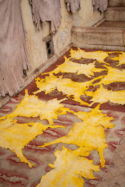 Cueros teñidos de amarillo se ponen a secar en una curtiduría en la antigua medina de Fez - Foto, imagen