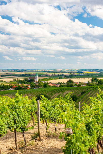 Unterretzbach with vineyards, Lower Austria, Austria - Φωτογραφία, εικόνα