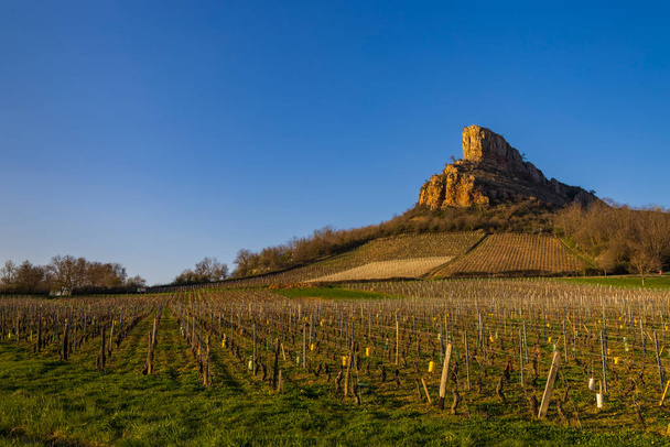 Rock of Solutre viinitarhoilla, Burgundy, Solutre-Pouilly, Ranska - Valokuva, kuva