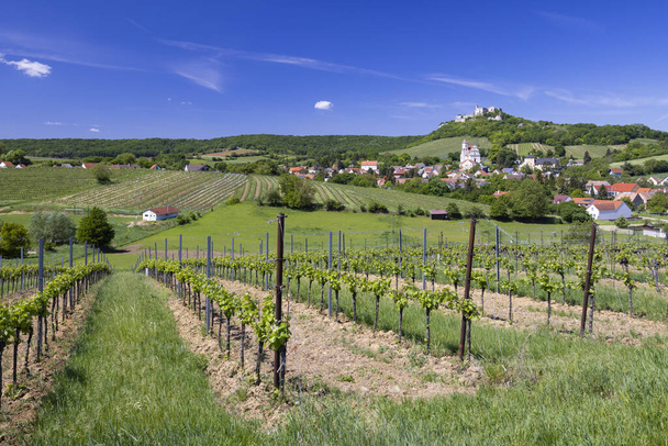 Zřícenina Falkensteinu a město s vinicí, Dolní Rakousko, Rakousko - Fotografie, Obrázek
