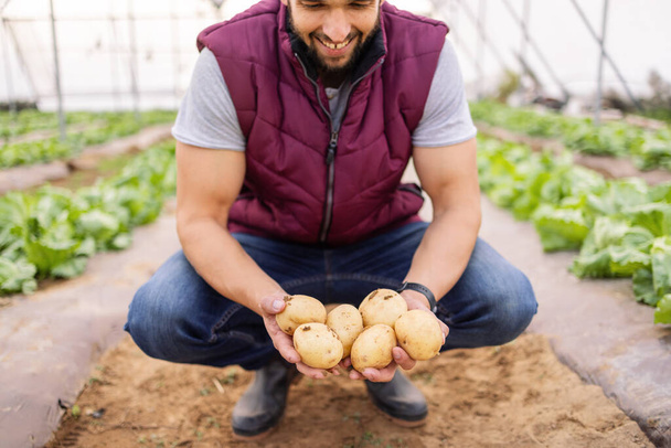 Χαρούμενος γεωργός πατάτας, θερμοκήπιο και λαχανόκηπος με βιώσιμη, βιολογική γεωργία και υγιή φυσική συγκομιδή. Σύγχρονη γεωργία αειφορίας, εσωτερική καλλιέργεια και σύγχρονη γεωργία. - Φωτογραφία, εικόνα