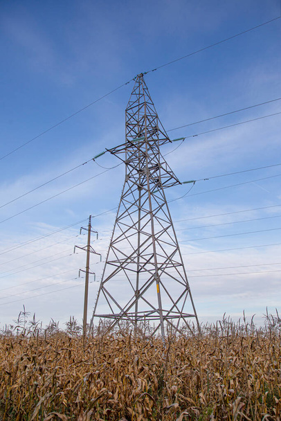 hoogspanningsdraden pyloon over een gedroogd maïsveld tegen een blauwe lucht - Foto, afbeelding