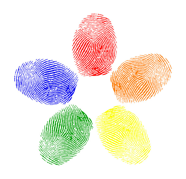 着色された指紋のベクトル - ベクター画像