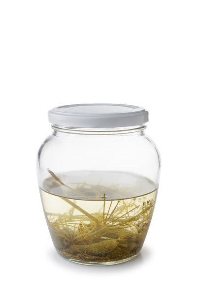 Paunchy Glass Jar with Gherkins - Fotó, kép