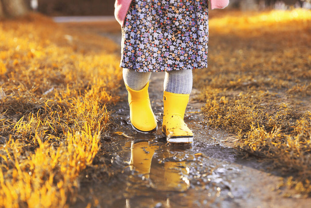 Little girl wearing rubber boots walking in puddle outdoors, closeup - Foto, afbeelding
