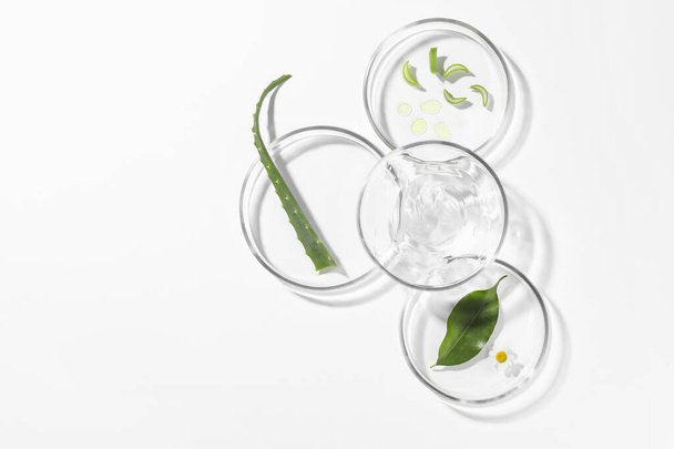 Petri dishes with different plants and cosmetic product on white background, top view. Space for text - Foto, imagen