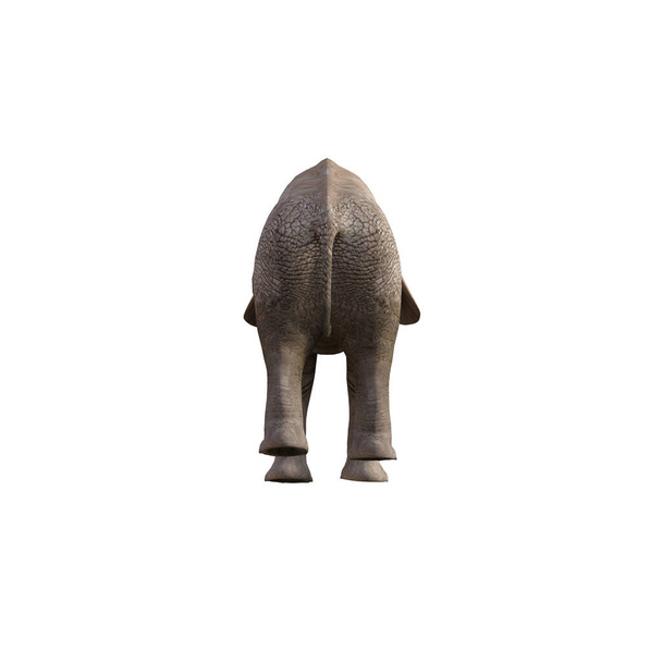 Illustratie van een olifant in verschillende houdingen en hoeken voor collage of clip art. Doos nummer 1 geïsoleerd op witte achtergrond. 3D weergave illustratie. - Foto, afbeelding