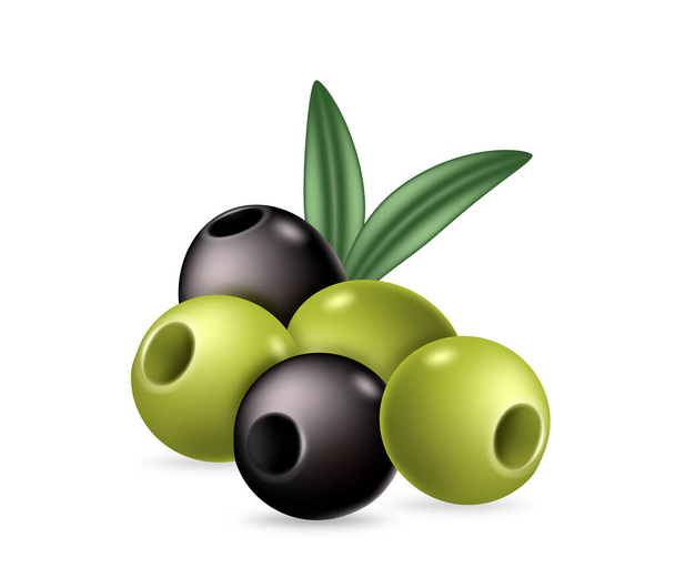 Olives pitted green and black isolated on white background. Canned ingredient for salad cooking realistic. Delicious healthy vegan product, cuisine element. Vector illustration - Vector, Image