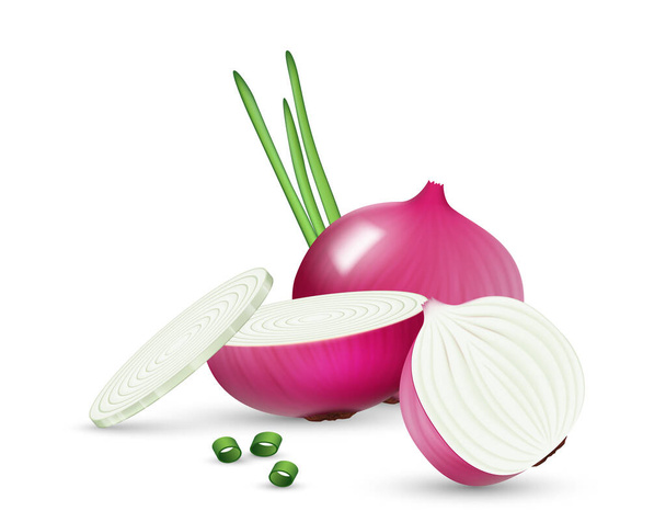 Ρεαλιστικό κόκκινο κρεμμύδι ολόκληρο λαχανικό, μισό και φέτες, φρέσκα πράσινα φύλλα κομμένα σε απομονωμένο σε λευκό φόντο. Νόστιμα χορτοφαγικά βιολογικά συστατικά για σαλάτα και μαγείρεμα γεύματος. 3d διανυσματική απεικόνιση - Διάνυσμα, εικόνα