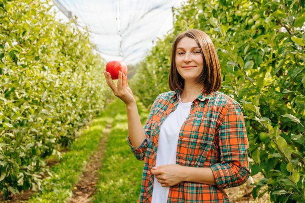 Front view looking at camera young female farmer holding a freshly picked apple in her hand. The harvest is ripe, you can start harvesting it. Girl agronomist with an apple in her hands. - Фото, изображение