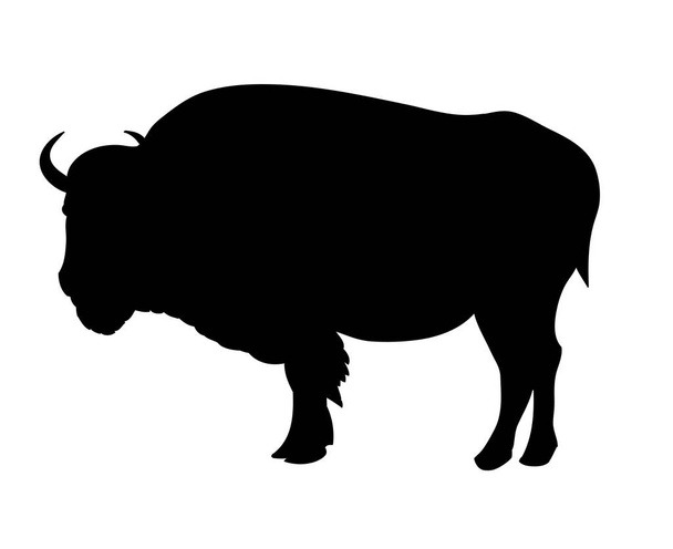 Bison μια διανυσματική απεικόνιση - Διάνυσμα, εικόνα