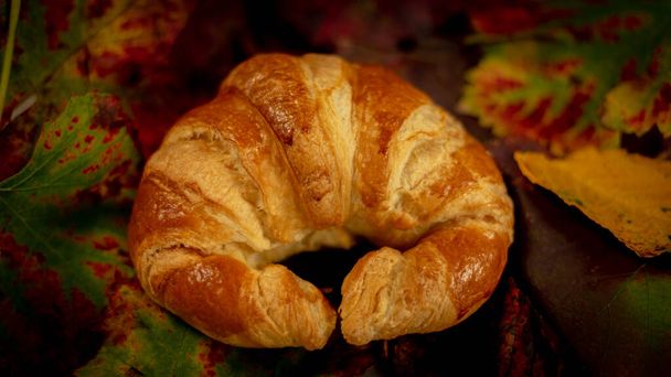 Normal croissant and another integral in an autumn still life with colored leaves and old wooden backgrounds - Photo, Image