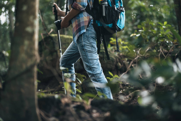 Hikers use trekking pole with backpacks and hold tent bag walking through the forest. hiking and adventure concept. - Фото, зображення