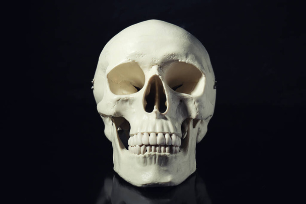 White human skull with teeth on black background - Foto, afbeelding