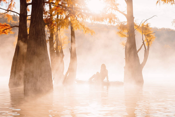 Woman relaxing on paddle board at the lake with morning fog, sun and autumnal Taxodium distichum trees - Photo, Image