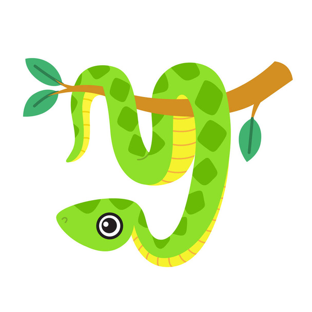Cute snake, a smiling boa character hanging on a tree branch. Vector illustration on white background - Vector, Image