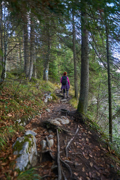 Woman hiker with backpack on a hiking trail in the mountains - Fotografie, Obrázek