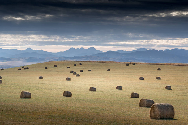 Runde Heuballen stehen auf einem abgeernteten Feld mit Blick auf die kanadischen Rocky Mountains am Cowboy Trail Alberta Kanada. - Foto, Bild