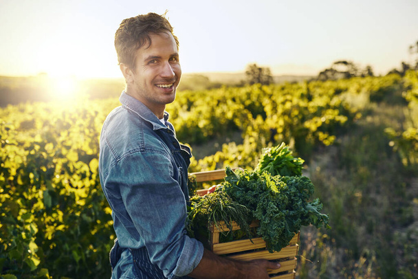 I do it for the love of farming. a young man holding a crate full of freshly picked produce on a farm - Foto, Bild
