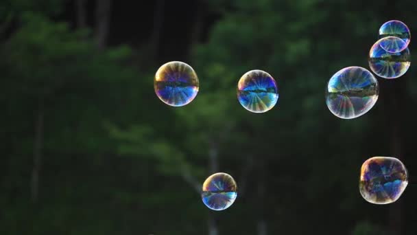 Мыльные пузыри, плавающие в воздухе с естественным зеленым размытым боке фон для детей и детей в парке - Кадры, видео