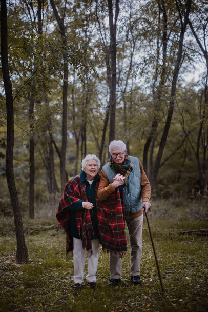 Senior couple walking together in autumn nature. - Foto, immagini