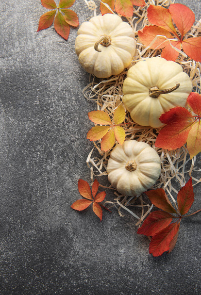 Thanksgiving season still life with small pumpkins and fall leaves over grey concrete  background - Foto, immagini
