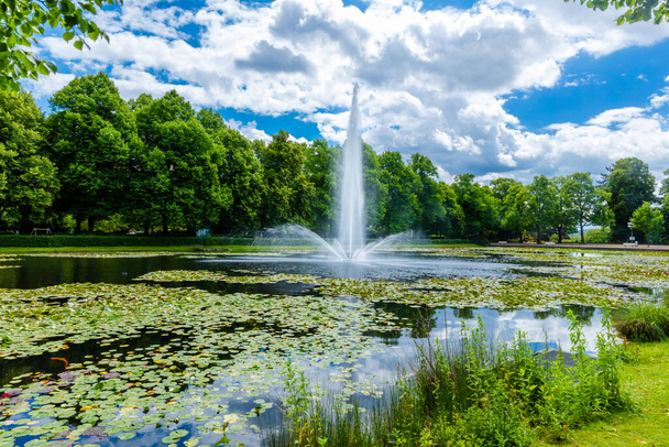 naturalne krajobrazy nad jeziorem z fontanną i wiosennymi drzewami w parku - Zdjęcie, obraz