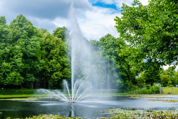 paisagem natural no lago com fonte e árvores de primavera no parque - Foto, Imagem
