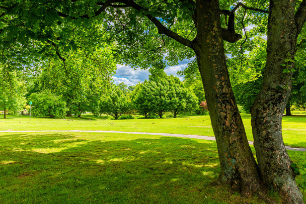 φυσικό τοπίο με πράσινο λιβάδι και δέντρα άνοιξη στο πάρκο - Φωτογραφία, εικόνα