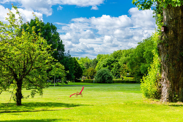 natural scenery with green meadow and spring trees in park - Photo, Image
