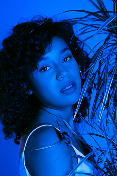 curly african american woman with butterflies on body looking at camera near palm leaves isolated on bright blue  - Foto, immagini