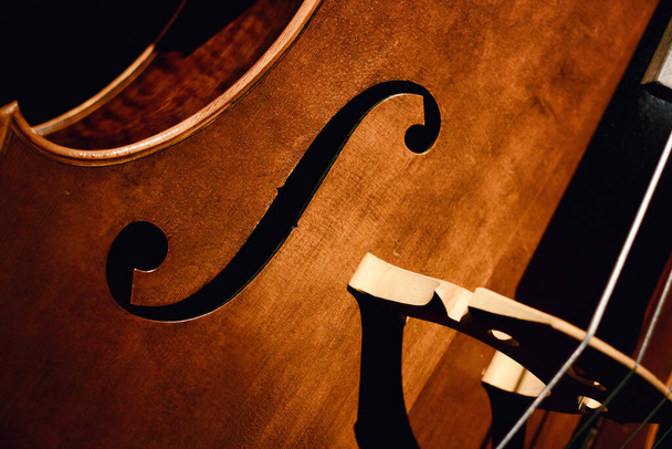 Close-up of f-hole and bridge of a cello musical instrument - Foto, Imagen