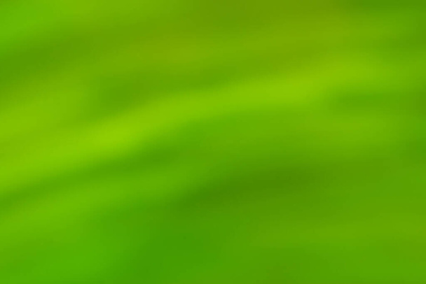 Groen wazig bokeh uit focus achtergrond. Groen abstracte wazige achtergrond afbeelding - Foto, afbeelding