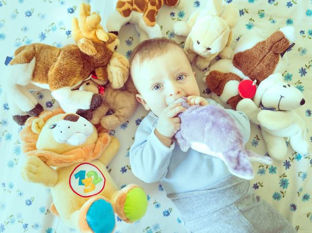 Baby and toys - Fotografie, Obrázek