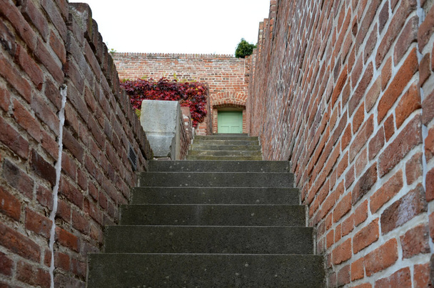 ściany oporowe i tarasy z trelisami i różami. Prostokątny przycięty żywopłot z boxwood na dachu ogrodu. podwórka włoskich ogrodów, schody, schody - Zdjęcie, obraz