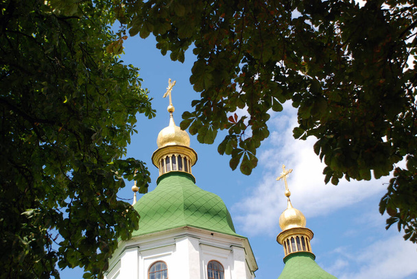 church of the savior in the city of kiev - Foto, immagini