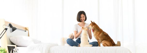 Diseño de portada de banner. Mujer asiática joven jugando con tres perros (shiba inu marrón, cachorro shiba blanco y maltés blanco) en la cama. Alegre y agradable pareja con personas y mascotas. concepto de amante de mascotas - Foto, Imagen