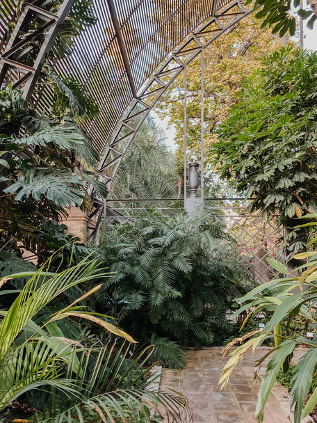 Jardín botánico bajo una jaula de metal con plantas verdes y baldosas de hormigón sendero para los turistas. - Foto, Imagen