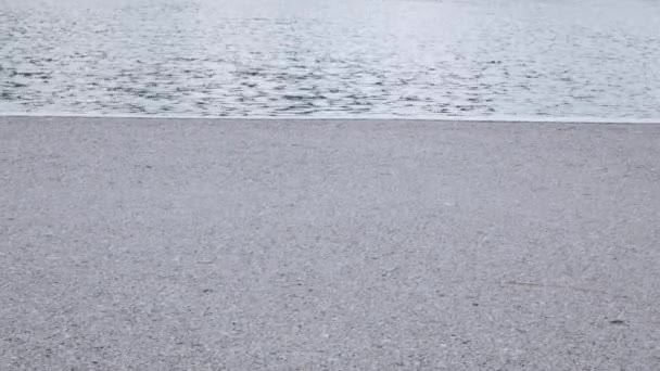Cerca de los pies de un atleta irreconocible corriendo en asfalto caminando camino camino camino con el lago en el fondo en el día de verano - Metraje, vídeo