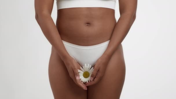 Concepto de salud femenina. Mujer negra irreconocible en ropa interior llevando manzanilla cerca de sus genitales, posando sobre fondo blanco del estudio, cámara lenta - Imágenes, Vídeo