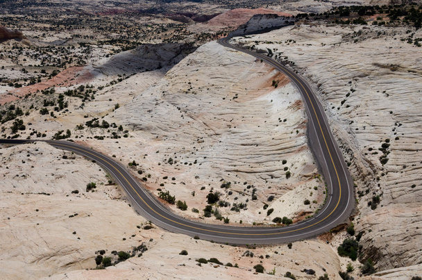 砂漠の道 - 写真・画像
