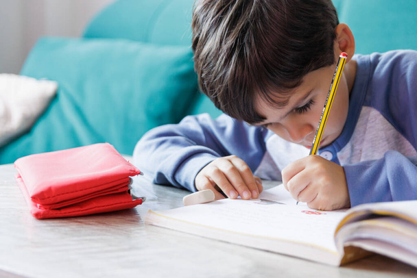 Jongen doet huiswerk thuis, horizontaal - Foto, afbeelding