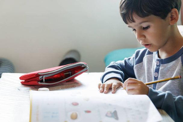 Jongen doet huiswerk thuis, horizontaal - Foto, afbeelding