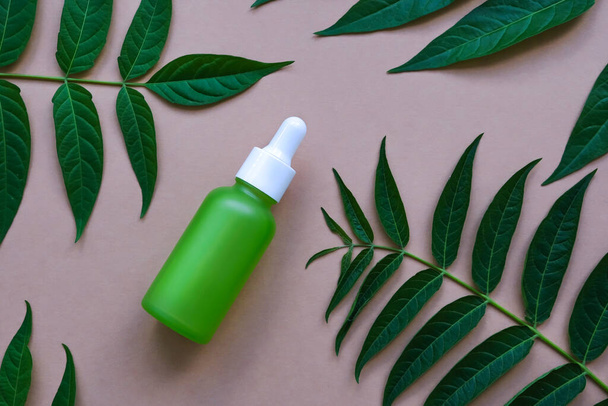 Green glass dropper bottle with natural green leaves on a beige background. Natural, organic cosmetics. - Photo, image