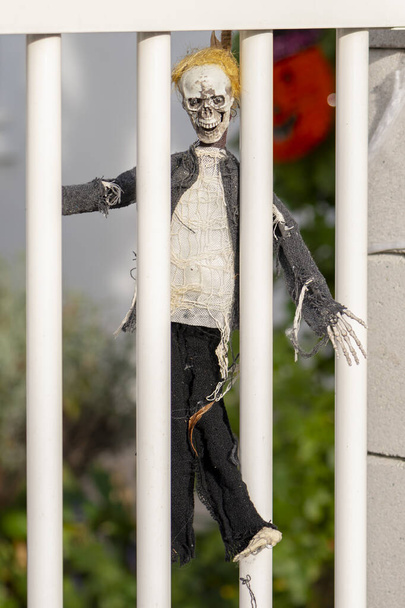 Figura nieboszczyka jest umieszczona w ogrodzeniu. Koncepcja: dekorowanie domów na Halloween. - Zdjęcie, obraz