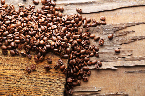 Coffee beans, close-up - Fotografie, Obrázek