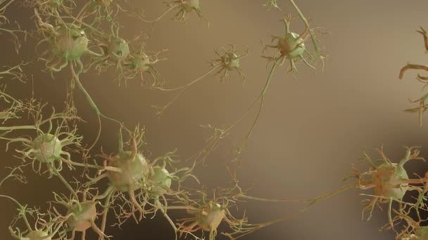 Mild Traumatic Brain Injury, damaged neurons, alzheimers disease, diffuse axonal injury, disruption in nerve communication, 3d render - Footage, Video
