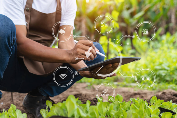 Agriculture technology, farmer man holding tablet to research agriculture problems analysis data, visual icons - Fotografie, Obrázek